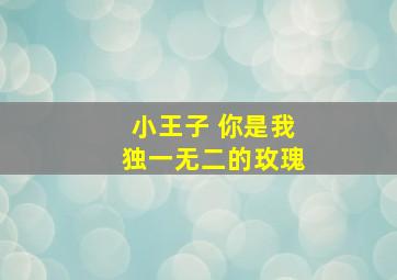 小王子 你是我独一无二的玫瑰